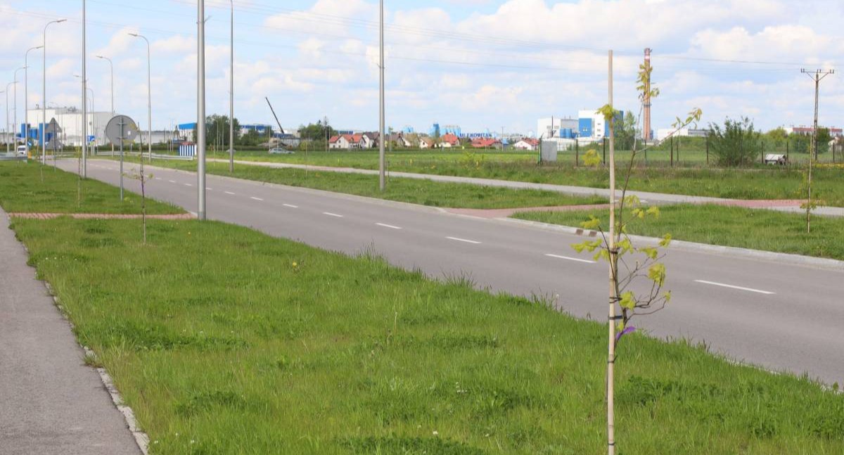 Zdjęcie: Aleja Niepodległości w Wysokiem Mazowieckiem