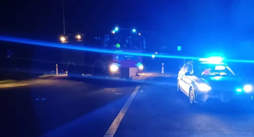 Zdjęcie: Śmiertelne potrącenie pieszego w gminie Ciechanowiec, fot. KPP Wysokie Mazowieckie