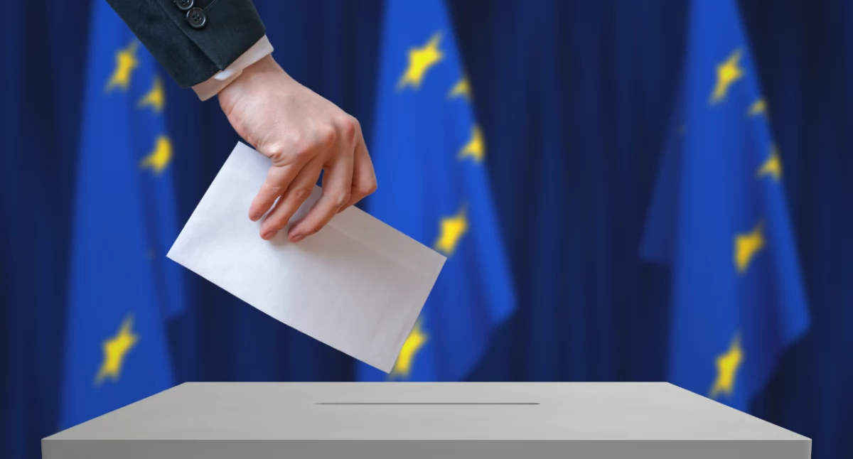 Wybory, Wybory Parlamentu Europejskiego czerwcu [KALENDARZ WYBORCZY] - zdjęcie, fotografia