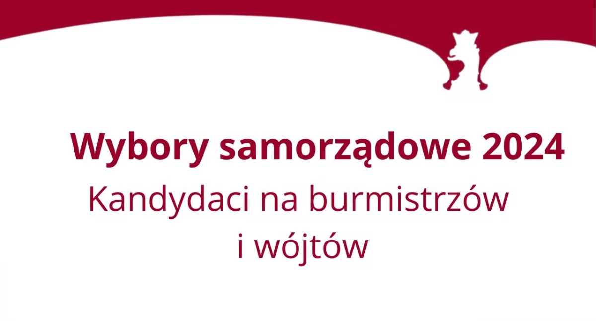 Wybory, Kandydaci wójtów burmistrzów powiecie wysokomazowieckim - zdjęcie, fotografia