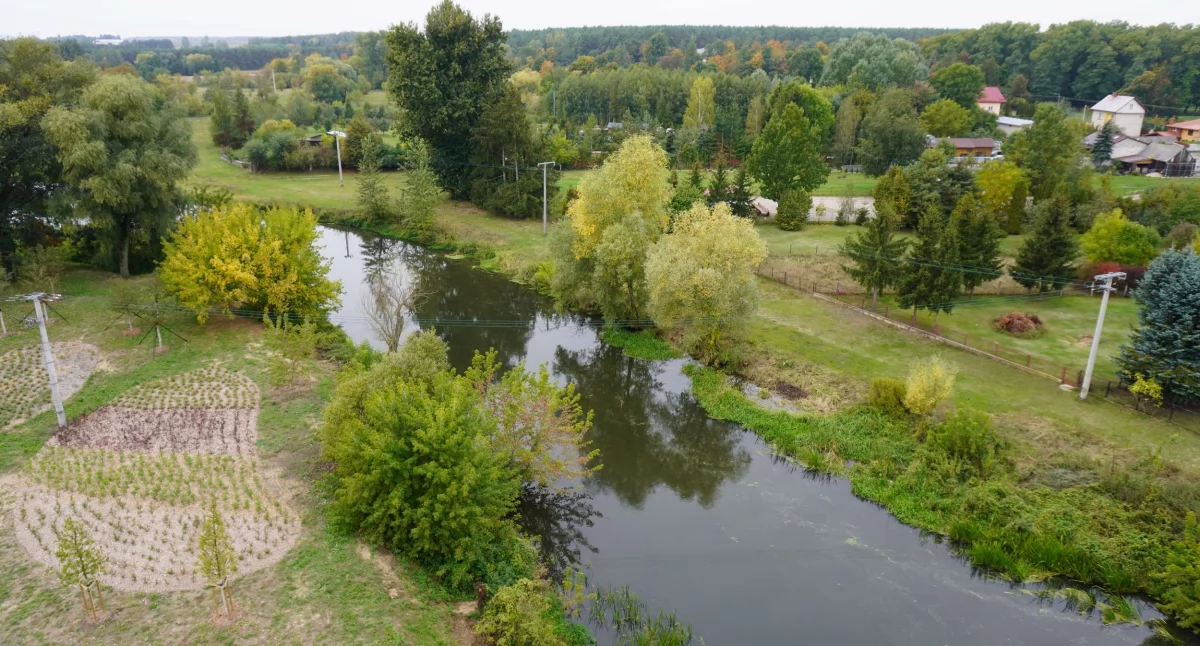 Zdjęcie: Rzeka Nurzec w Ciechanowcu
