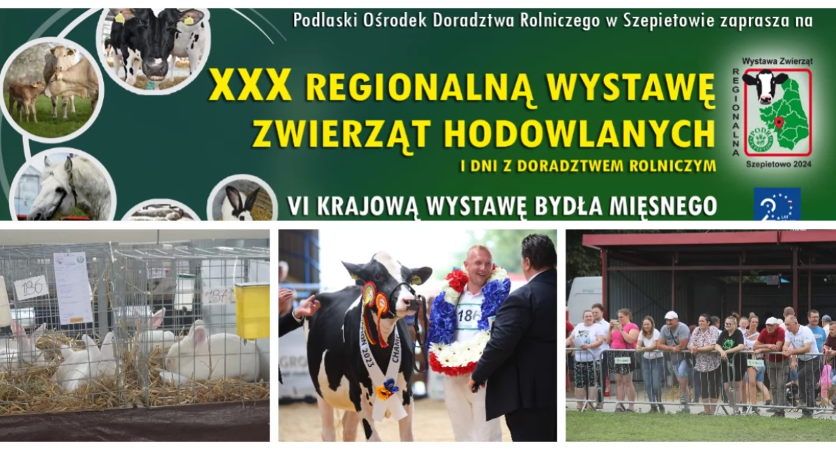 Rolnictwo, Przed Regionalna Wystawa Zwierząt Hodowlanych Szepietowie [PROGRAM] - zdjęcie, fotografia