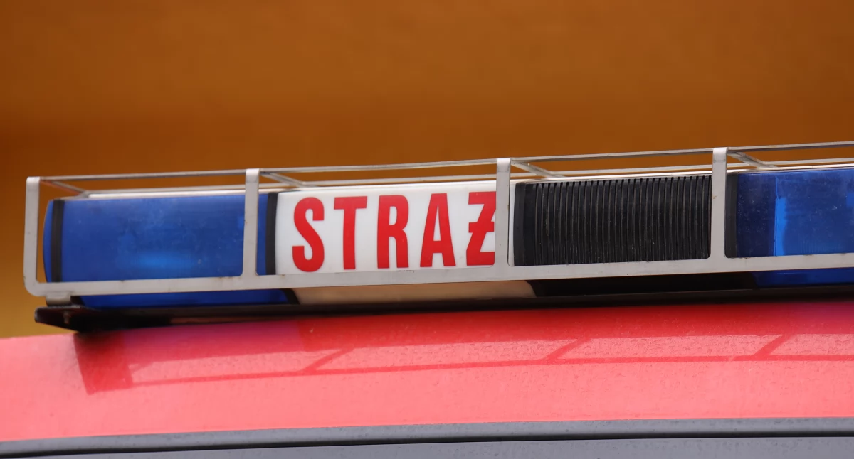 Pożary i straż, Płonął gminie Ciechanowiec ogniem walczyło siedem zastępów - zdjęcie, fotografia