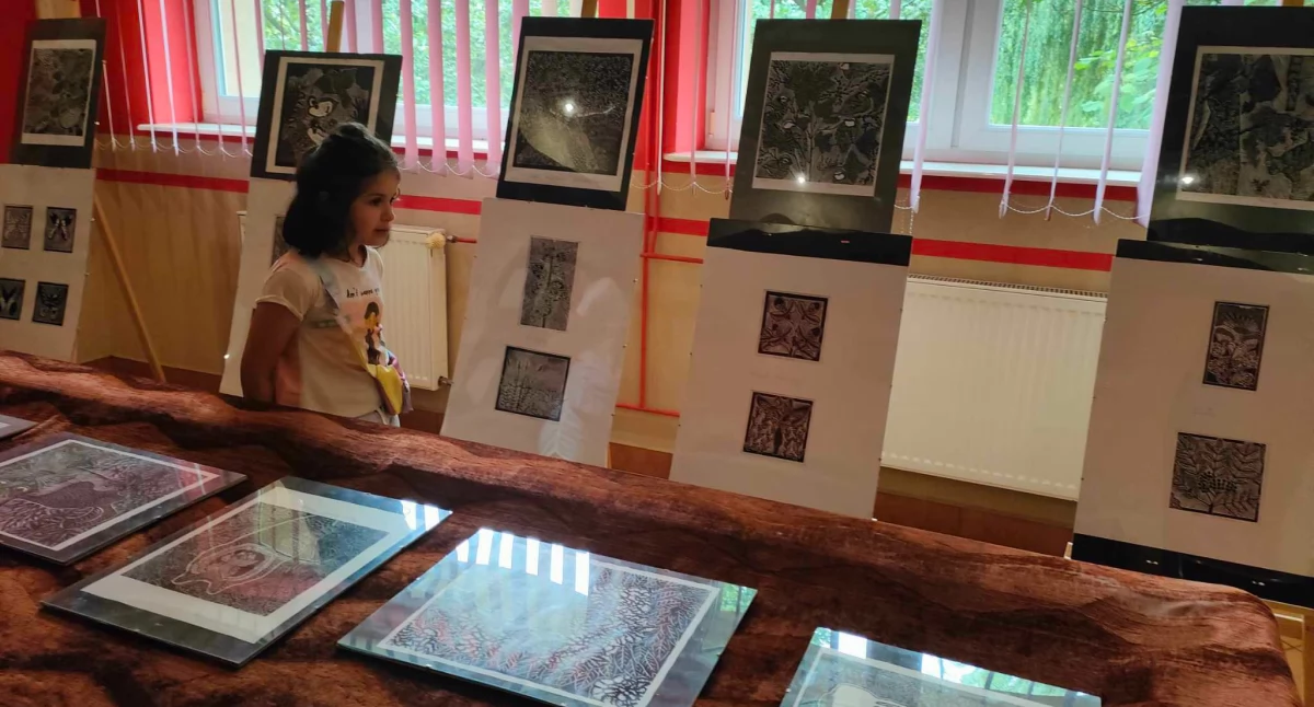 Domy i ośrodki kultury, Linoryty Czyżewie zaprasza wystawę spotkanie artystą - zdjęcie, fotografia
