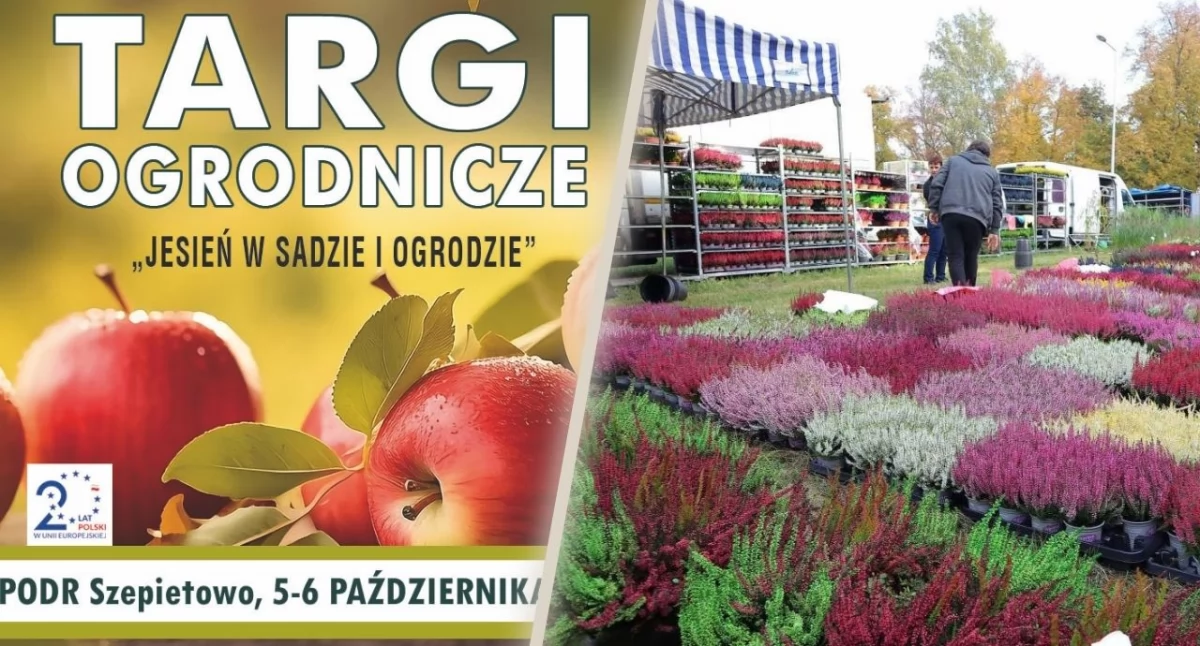 Rolnictwo, Zbliżają jesienne targi ogrodnicze Szepietowie [PROGRAM] - zdjęcie, fotografia