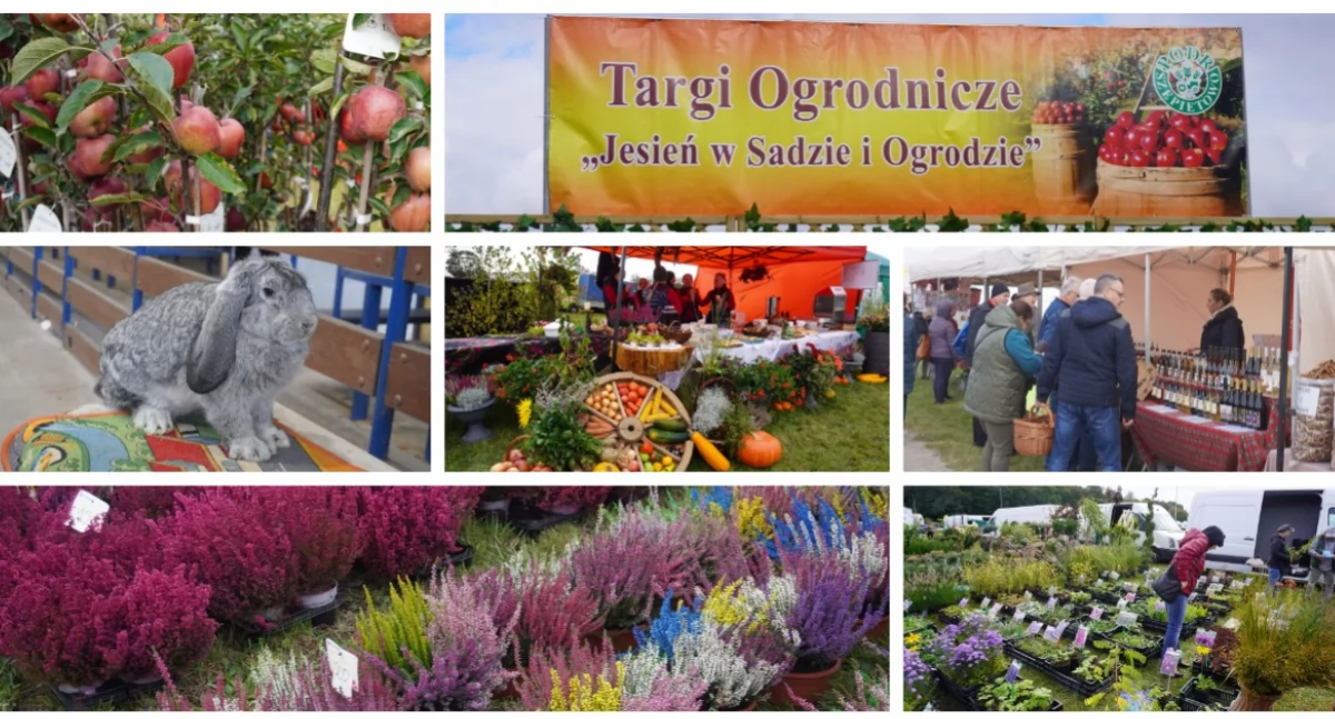 Targi Ogrodnicze „Jesień w sadzie i ogrodzie” w Szepietowie