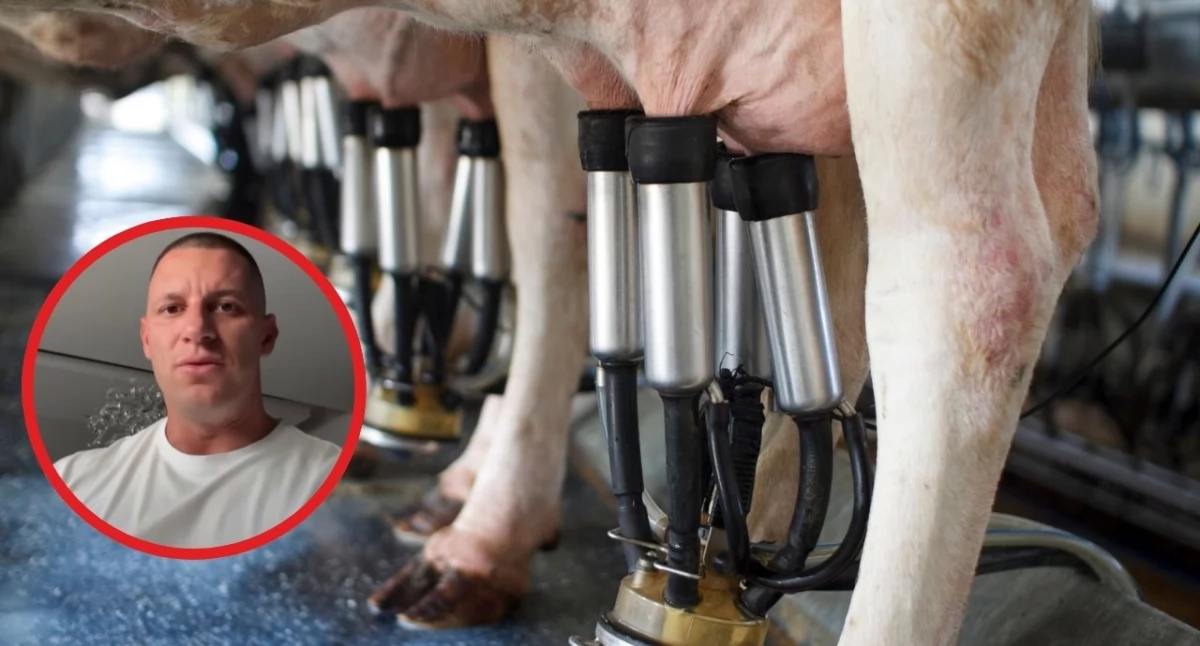 Screen YouTube Dziki Trener