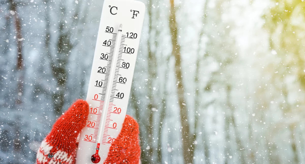 Meteo, Najbliższa silnym mrozem ostrzega - zdjęcie, fotografia