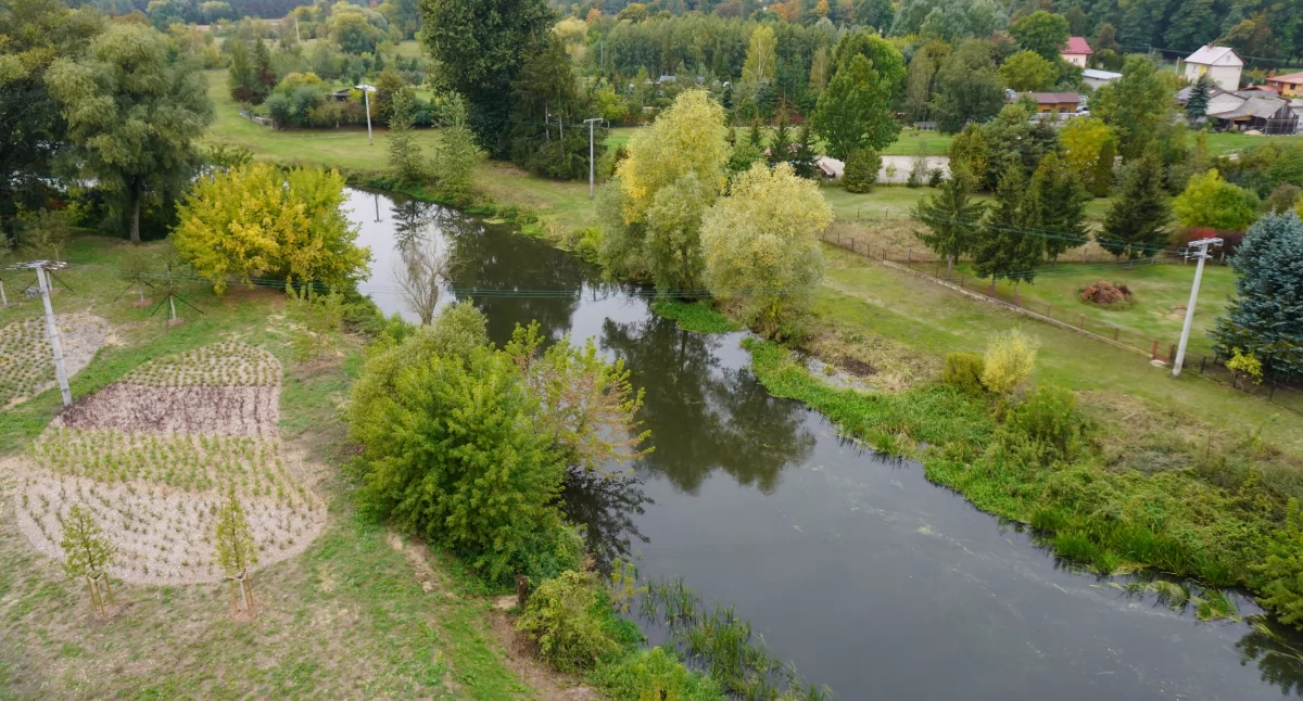 Ekologia, Dołącz ekologicznej akcji sprzątania rzeki Nurzec Ciechanowcu - zdjęcie, fotografia