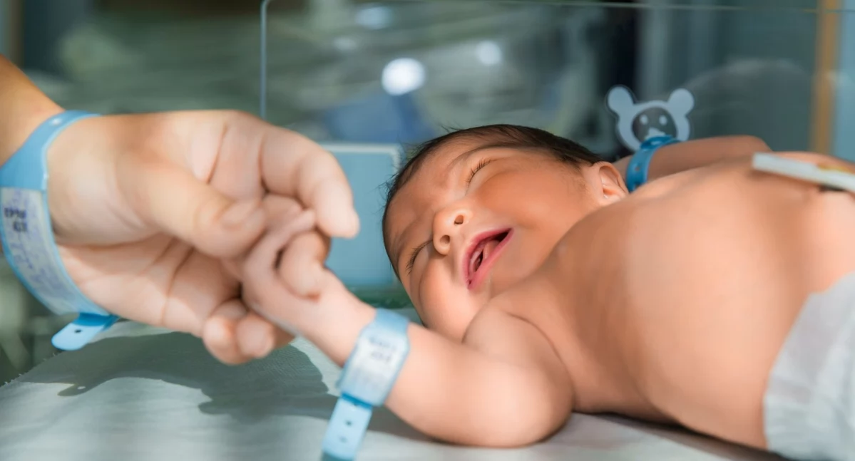 US - ZUS, marca zasiłek rodziców wcześniaków - zdjęcie, fotografia