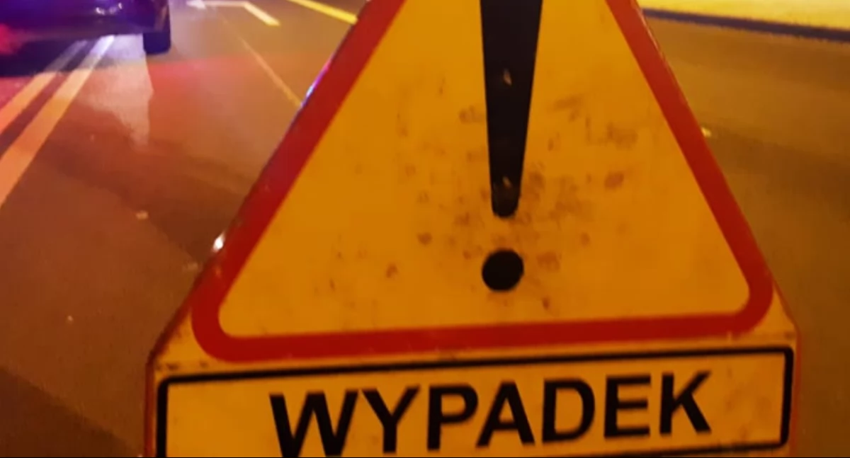 Wypadki drogowe, Zderzenie łosiem gminie Kobylin Borzymy Jedna osoba szpitalu - zdjęcie, fotografia