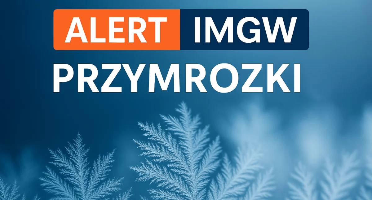 Meteo, Nocne przymrozki całym województwie podlaskim - zdjęcie, fotografia