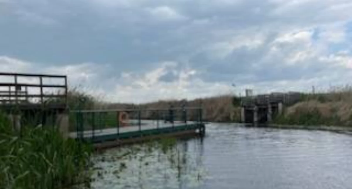 Fot. Narwiański Park Narodowy