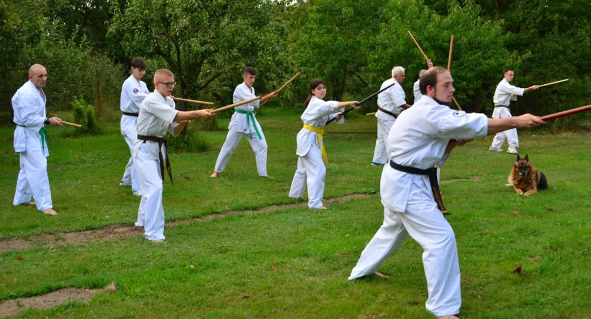 Sporty walki, Ciechanowcu doskonalono sztukę walki Seminarium Kyokushin [foto] - zdjęcie, fotografia