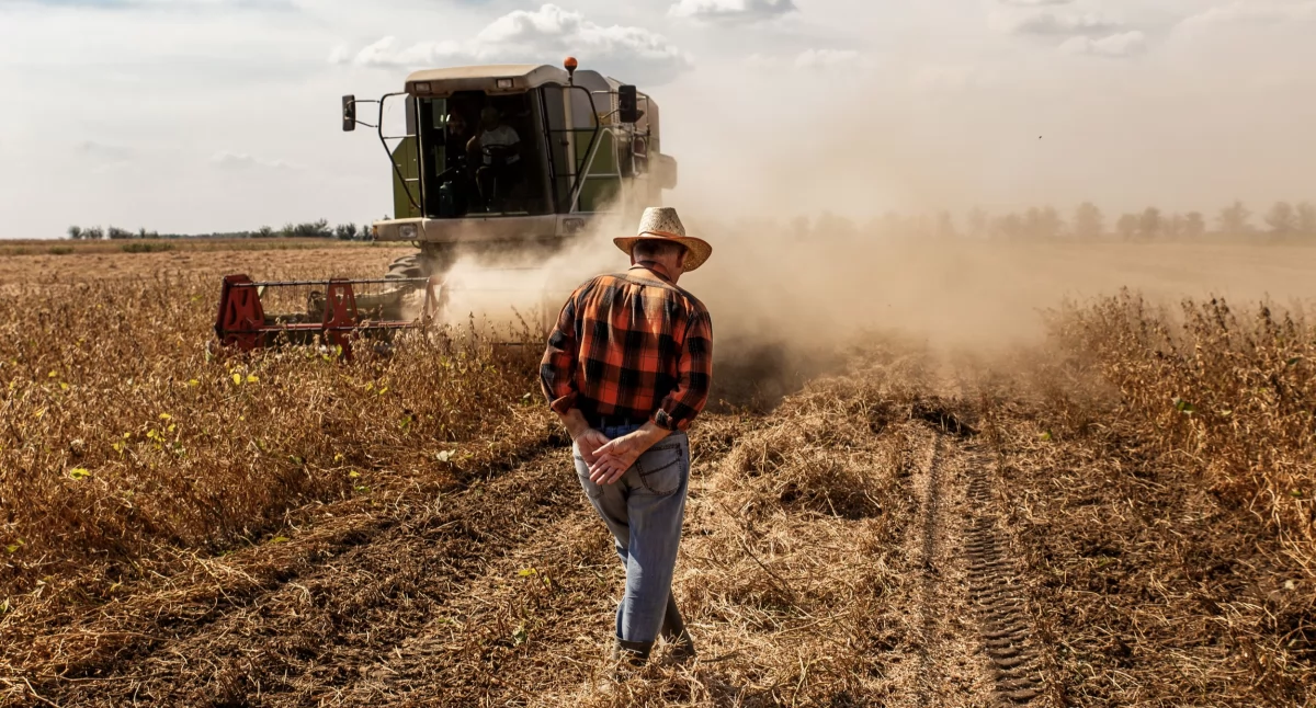 Rolnictwo, nabór wniosków premie rozwój małych gospodarstw - zdjęcie, fotografia