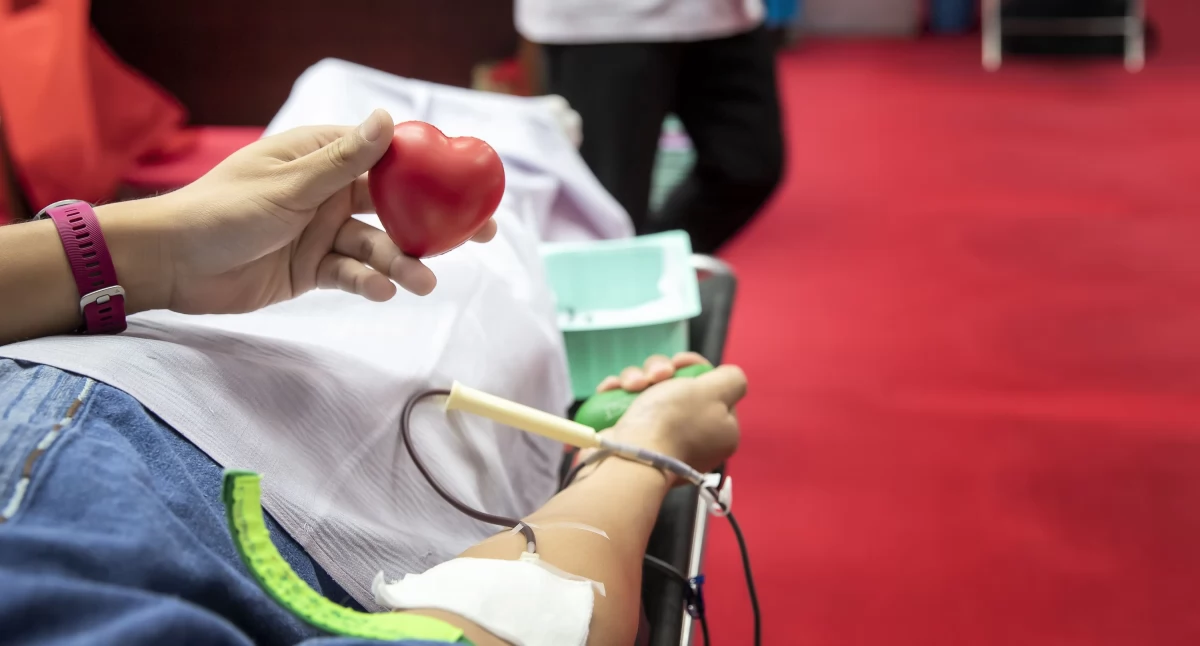 Charytatywne/wolontariat, Oddaj powiecie wysokomazowieckim Sprawdź gdzie kiedy odbędą zbiórki - zdjęcie, fotografia