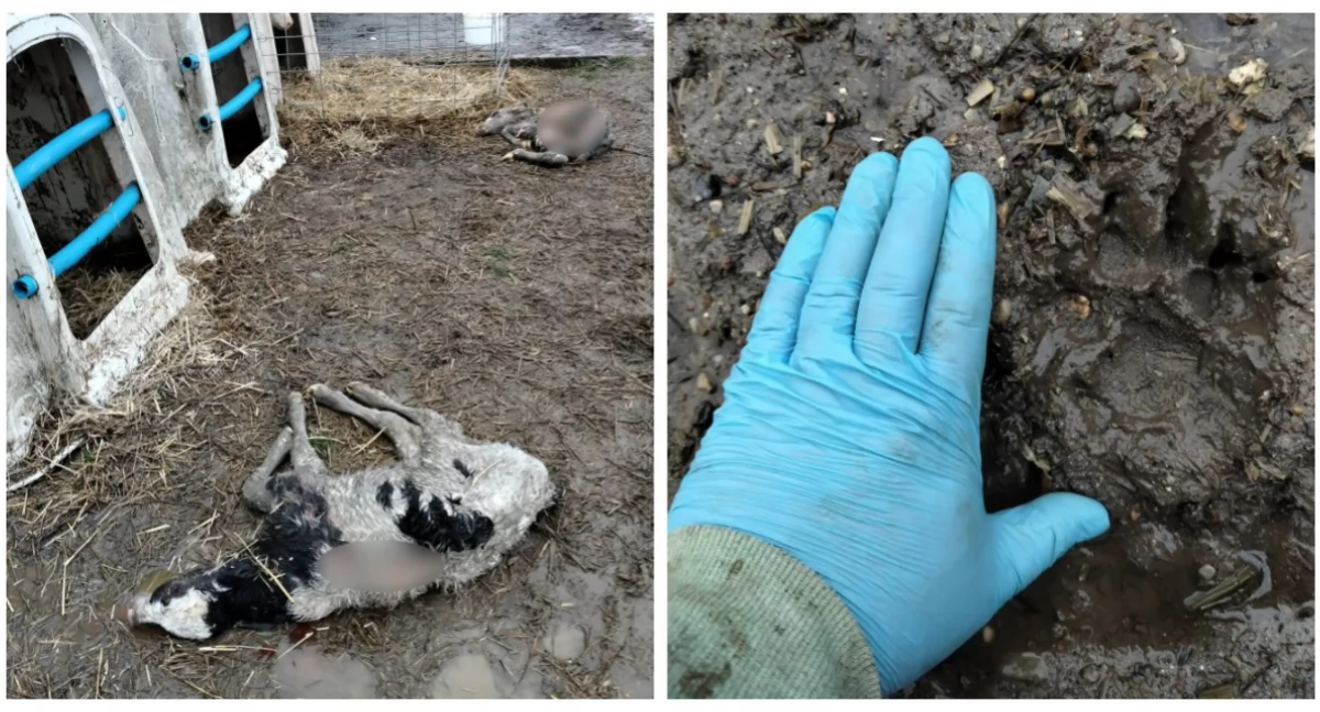 Fot. FB Konrad Krupiński