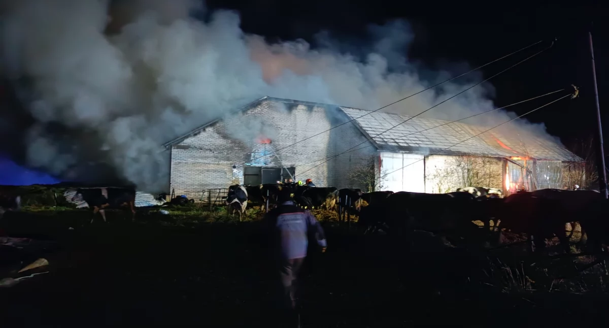 Pożary i straż, Płonie gospodarstwo gminie Klukowo Kilkudziesięciu strażaków walczy ogniem [FOTO] - zdjęcie, fotografia