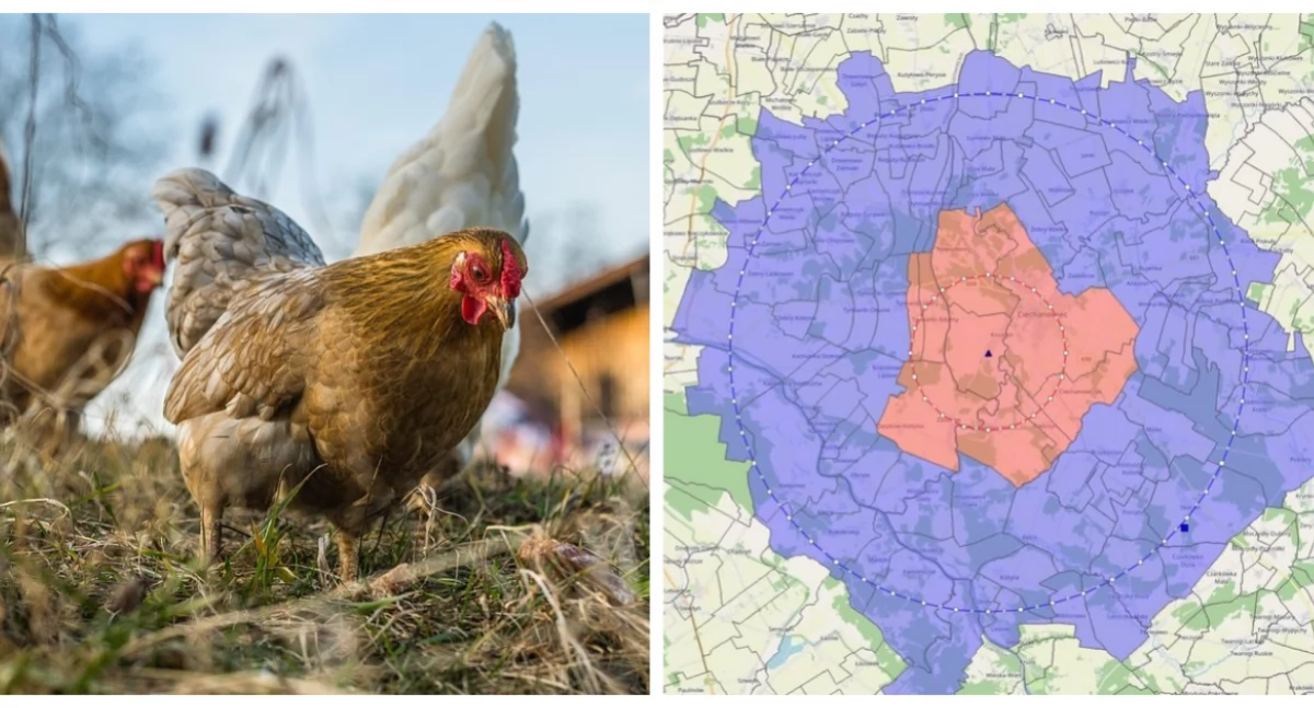 mapka: UM w Ciechanowcu