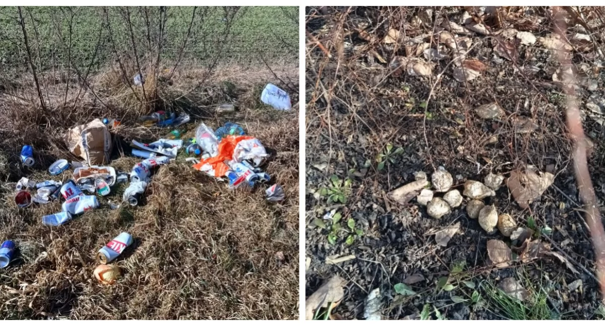 Interwencje, Wiosna odsłoniła problem śmieci Wysokiem Mazowieckiem [foto] - zdjęcie, fotografia