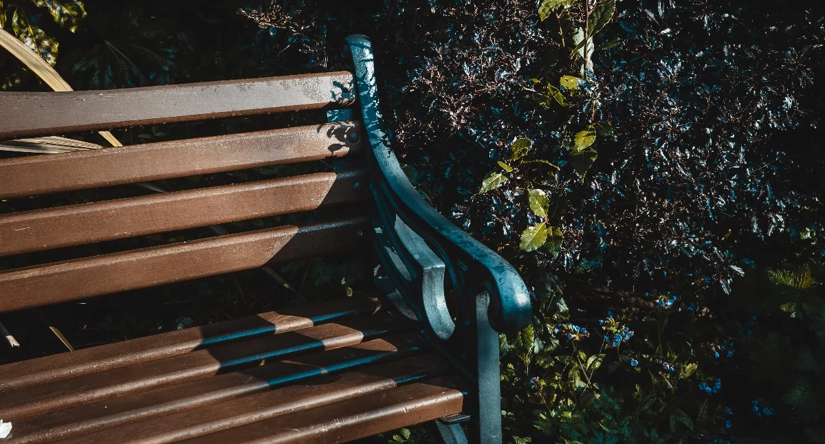 Artykuł sponsorowany, Ławki drewniane podstawa kącika wypoczynkowego Twoim ogrodzie - zdjęcie, fotografia