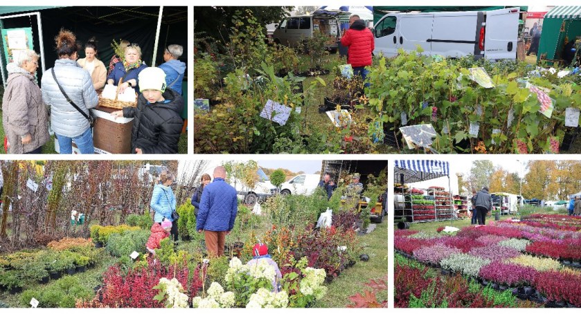 Zdjęcie: Jesienne Targi Ogrodnicze w Szepietowie 
