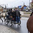 zdjęcie nr 83