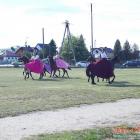 zdjęcie nr 134