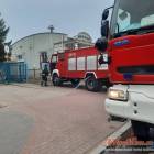 Fotka nr 4 z 10