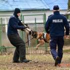 zdjęcie nr 15