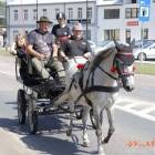 Fotka nr 4 z 193