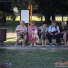 zdjęcie nr 55