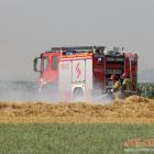 Fotka nr 5 z 14