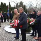 zdjęcie nr 36