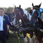 zdjęcie nr 15