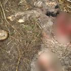 Fot. FB Konrad Krupiński