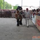 zdjęcie nr 149