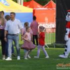 zdjęcie nr 244