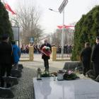 zdjęcie nr 28