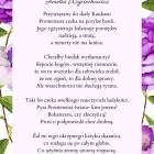 zdjęcie nr 25