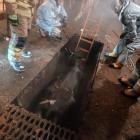 Fot. OSP KSRG Sokoły