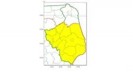IMGW ostrzega: W nocy mogą wystąpić przymrozki