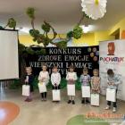 zdjęcie nr 13
