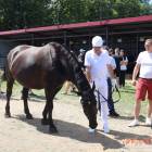 zdjęcie nr 19