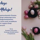 zdjęcie nr 17