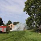 zdjęcie nr 16