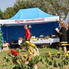 zdjęcie nr 39