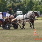 zdjęcie nr 46