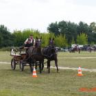 zdjęcie nr 55