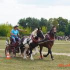 zdjęcie nr 60